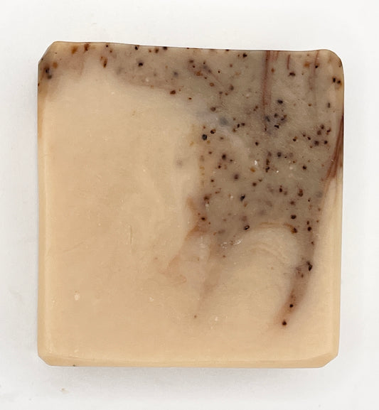 Bastrop, Texas - Bastrop State Park Bar Soap