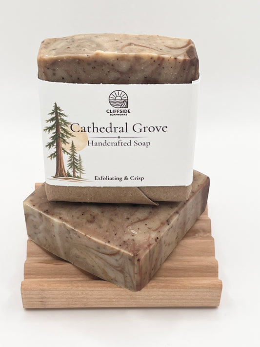 Limited Edition! Cathedral Grove - Bar Soap