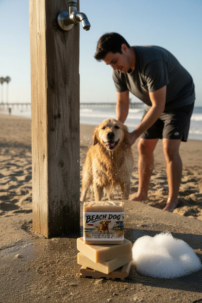 Ocean Beach-Beach Dog