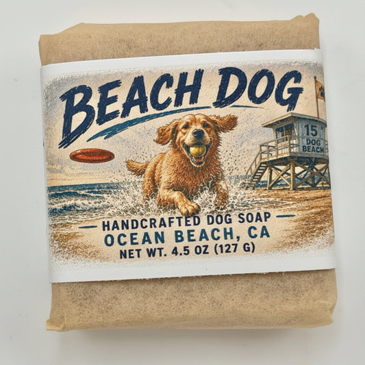 Ocean Beach-Beach Dog